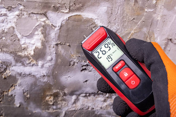 Professional Mold Removal in Apple Mountain Lake, VA