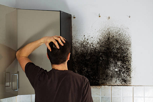 Best Attic Mold Removal  in Apple Mountain Lake, VA